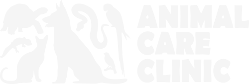 Klinik Hewan Cianjur